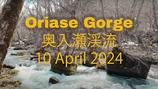 Oriase Gorge 奥入瀬渓流 - 10 April 2024