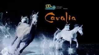 Cavalia in Hong Kong - A magical encounter between human \u0026 horse