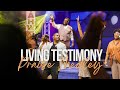 Living Testimony Praise Medley - Dare David