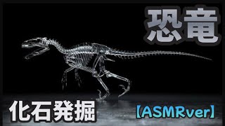 夏の化石発掘！！リベンジ！！【恐竜】【ASMR】【化石】