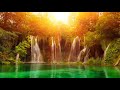 Beautiful Waterfalls in Nature 2 | Free HD Video Background | NT VFX