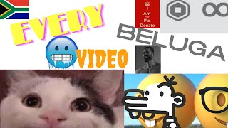 Every Beluga Video be like