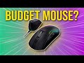 Crazy $30 Amazon Find!! | Risophy Tri Mode Gaming Mouse with 20000DPI