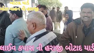 મોટા વાહન ની હરાજી Botad kapas na bhav24-01-25 l બોટાદ કપાસ ના ભાવ l information about cotton crop..