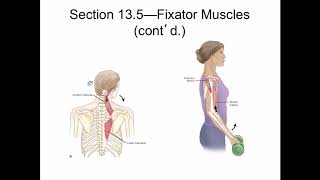 Module 5 Lecture Part 2