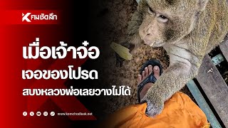 เมื่อเจ้าจ๋อเจอของโปรด สบงหลวงพ่อเลยวางไม่ได้ | SCLee111 | คมชัดลึกออนไลน์