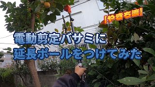 【検証】電動剪定バサミに延長ポールをつけてみた【やきち流】