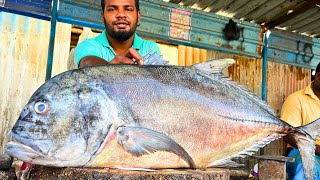 KASIMEDU 18Kg BIG TREVALLY FISH CUTTING VIDEO CUTTING FOCUS