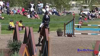 747S Meg Pellegrini on Ganymede CCIJ2* Long Show Jumping Rebecca Farm July 2019