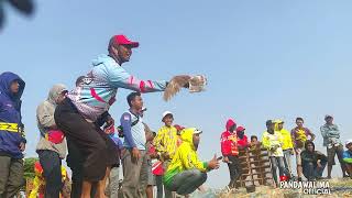 LOMBA MERPATI BALAP || JAGUNGAN LAP. CILEBAR || MINGGU 27-08-2023