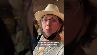 波士顿最酷的艺术博物馆？ 美国脱口秀名人艾杰西和妈妈参观ISG博物馆精品！Best art museum in Boston with mom. Jesse’s Tavel Vlog EP5