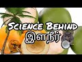 Science Behind இளநீர் / Every food has a story/How to find the water - Pulp availability in Coconut