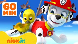 PAW Patrol Baby Animals Rescues & Adventures! w/ Marshall 🐥 1 Hour Compilation | Nick Jr.