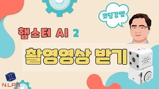 [코딩강쌤] 햄스터 AI 촬영영상 받기