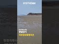 장경리해수욕장 슈퍼어씽 맨발걷기로 건강관리하는 이부장의워케이션 최근근황 최초공개하면 생기는일 shorts