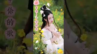 🌸 夢幻的愛 🌸 龍飄飄 🌸