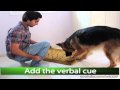 Dog Trick Tutorial: Dog Trick Tutorial: