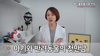 [ 아기와 반려동물 ]의 첫만남은 어떻게 준비해야할까!  - 메이플동물의료센터