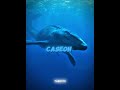 Mosasaurus VS Indominus Rex | TaiEdits