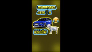 Козел и полировка😁 приколы из Тик Ток