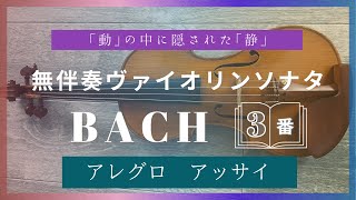 アレグロ　アッサイ　バッハ無伴奏ヴァイオリンソナタ第3番BWV.1005より @Cattoga