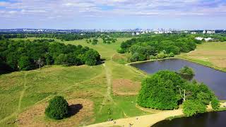 Richmond Park - Drone Footage - 4K