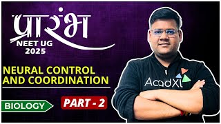 Neural Control and Coordination | Part-2 | Biology | NEET UG 2025  #AcadXL #Learning #Kota