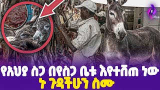 የአህያ ስጋ በየስጋ ቤቱ እየተሸጠ ነው!! ኑ ጉዳችሁን ስሙ! | Donkey Meat In ethiopia | Kera #ethiopia