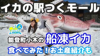 【イカの駅つくモール】名物・能登町小木の船凍イカ食べてみた！お土産紹介も★HAB5chポイントキャンペーン2023.02