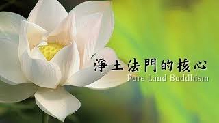 慧淨法師：淨土法門的核心19(字幕版)