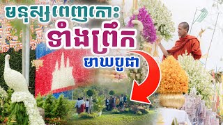 ព្រឹកឡើងណែនពេញកោះ ថ្ងៃមាឃបូជា