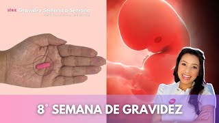 8 Semanas de Gravidez - Patrícia Moreira