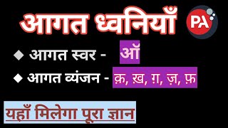 ऑ-आगत स्वर।क़, ख़, ग़, ज़,फ़- आगत व्यंजन। हिंदी व्याकरण। Hindi grammar| Pushp Academy