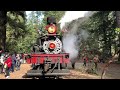 Roaring Camp Train Ride in Bear Mountain Part 2