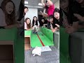 rabbit u0026 turtle race 现实版龟兔赛跑，哈哈结局亮了 办公室搞笑 办公室日常 趣味游戏 funnygameplay