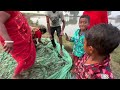 fishing video look how many snakes got caught in the mosquito net while fishing😱 net fishing 🐍