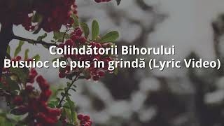 Colindătorii Bihorului - Busuioc de pus în grindă (Lyric Video)