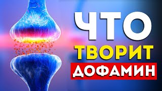 Вот как дофамин управляет тобой. (Удивительно)