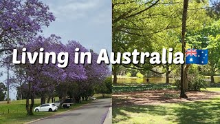 Australia Vlog🇦🇺 Living in Australia.School schedule is over? Start work!! Spudshed shopping & eat