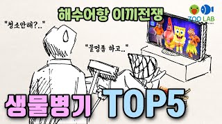 해수어항 생물병기 TOP5, 해수어 키우기, 어항청소, 이끼제거, 니모키우기, 물생활 아이디어, 군소 키우기