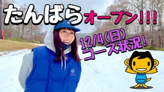 たんばらオープンしたから、旦那とゆるーくレポします。【12/4コース状況】