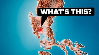 Scientists Terrifying Discovery in the Philippines that Changes Everything