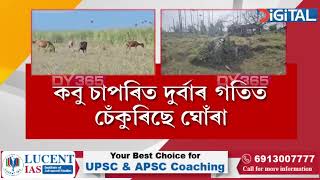 বেদখলমুক্ত হোৱাৰ পিছত জোনাইৰ কবু চাপৰিয়ে লৈছে ন ৰূপ