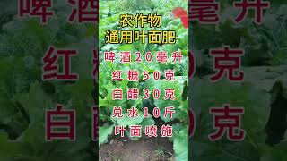 农作物通用叶面肥##省钱也是一样技能 #关注我每天分享种植知识 快手