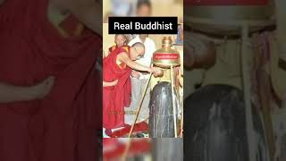 Fake Buddhist and Real Buddhist #buddhism #hindu #hinduism #sanatandharma #shorts