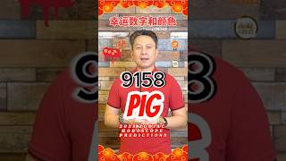 [Pig 猪] 2025 Chinese Zodiac - Horoscope Predictions. 【逸泰.雅居】ELTA by Master Hew 丘大师