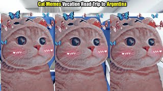 Cat Memes Vacation Road Trip to Argentina