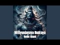 Mrityunjayaya Rudraya - Vedic Chant