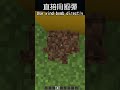 風彈的正確使用方法！ minecraft 我的世界 麥塊 當個創世神