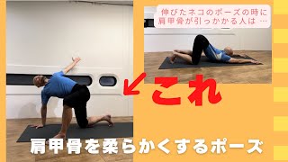 肩甲骨周りを柔らかくするのにおススメのポーズ